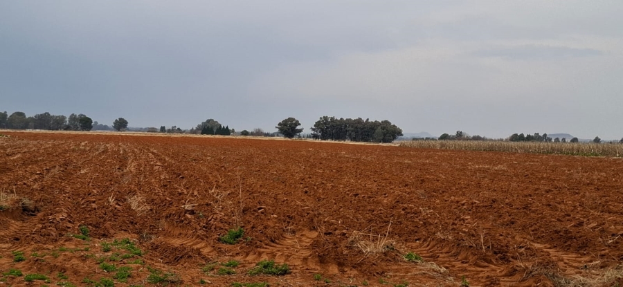 Commercial Property for Sale in Bainsvlei Free State